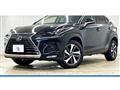 2019 Lexus NX