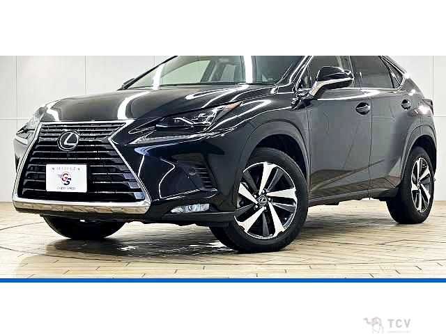 2019 Lexus NX
