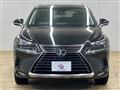 2019 Lexus NX