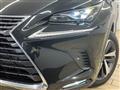 2019 Lexus NX