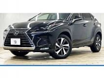 2019 Lexus NX