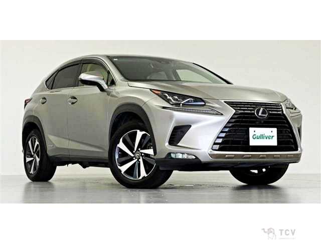 2019 Lexus NX