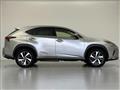 2019 Lexus NX