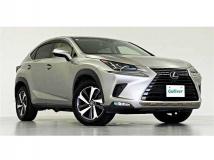 2019 Lexus NX