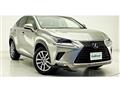 2019 Lexus NX