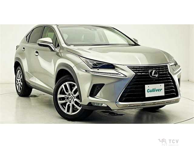 2019 Lexus NX