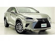 2019 Lexus NX
