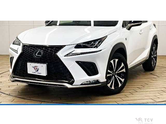2019 Lexus NX