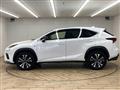 2019 Lexus NX
