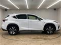 2019 Lexus NX