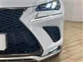 2019 Lexus NX