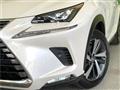 2019 Lexus NX