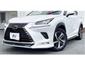 2019 Lexus NX