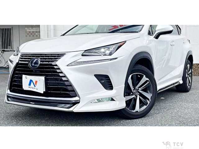 2019 Lexus NX