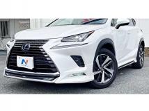 2019 Lexus NX