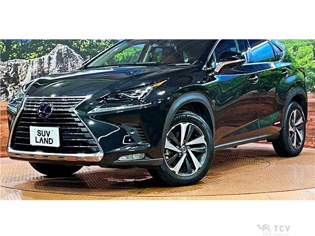 2019 Lexus NX