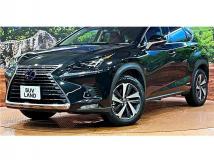 2019 Lexus NX
