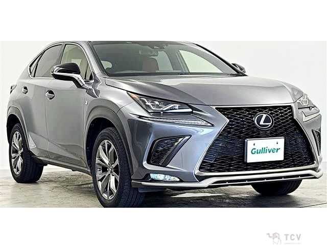 2019 Lexus NX