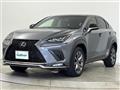 2019 Lexus NX