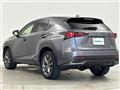 2019 Lexus NX