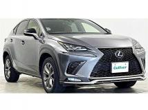 2019 Lexus NX