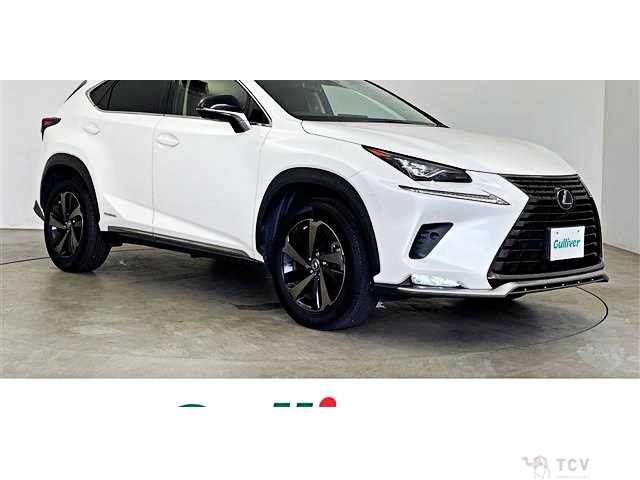 2019 Lexus NX