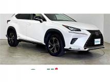 2019 Lexus NX