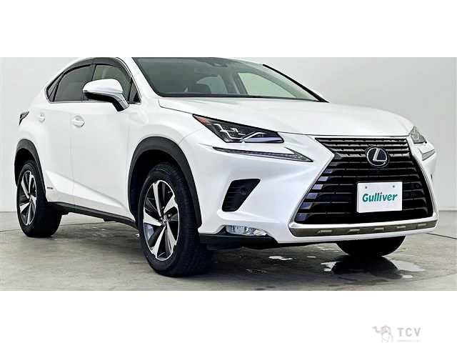 2019 Lexus NX