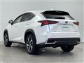 2019 Lexus NX