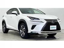 2019 Lexus NX