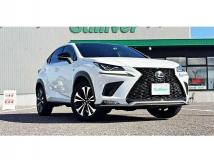 2019 Lexus NX