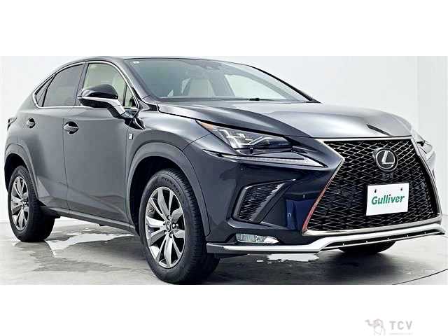 2019 Lexus NX