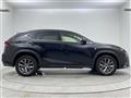 2019 Lexus NX