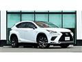 2019 Lexus NX