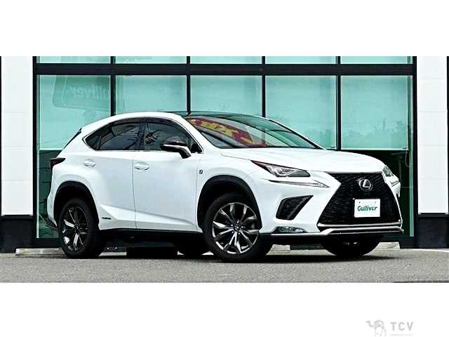 2019 Lexus NX