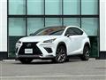2019 Lexus NX