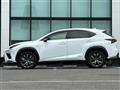 2019 Lexus NX