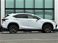 2019 Lexus NX