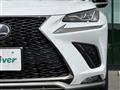 2019 Lexus NX