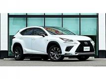 2019 Lexus NX