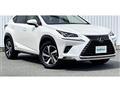 2019 Lexus NX