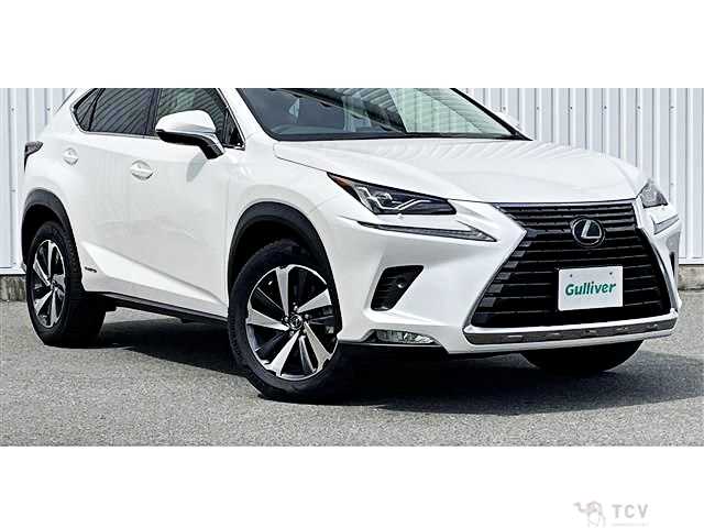 2019 Lexus NX