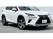 2019 Lexus NX