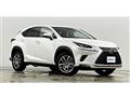 2019 Lexus NX