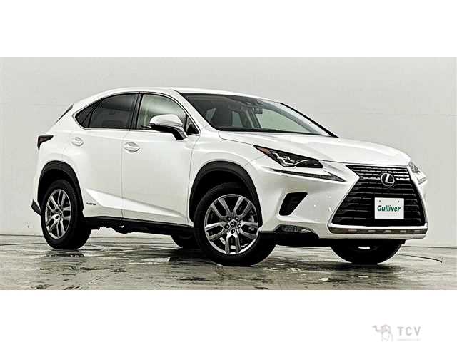 2019 Lexus NX