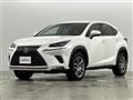 2019 Lexus NX