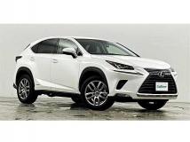 2019 Lexus NX