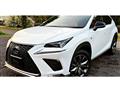 2019 Lexus NX