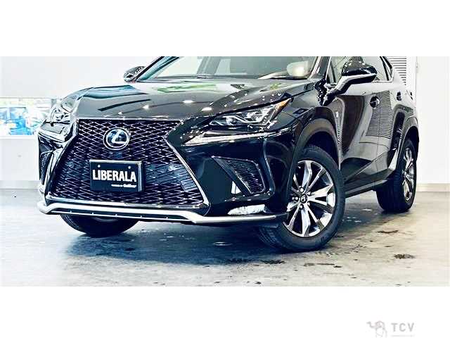 2019 Lexus NX