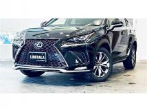 2019 Lexus NX